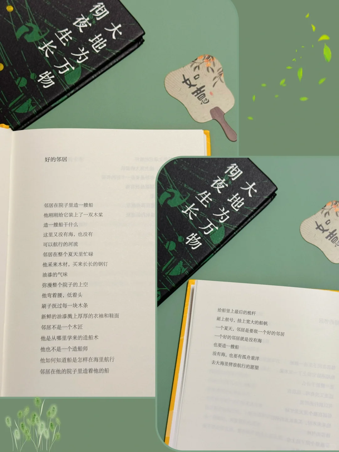 《大地为万物彻夜生长》允许生活长点“杂草”吧