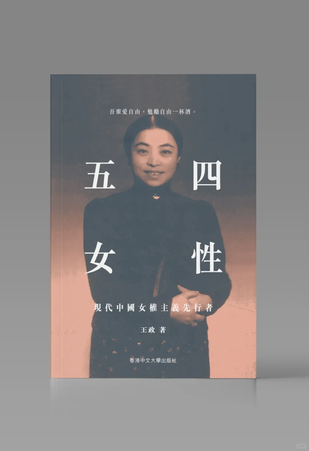 关于王政老师这本五四女性的电子版