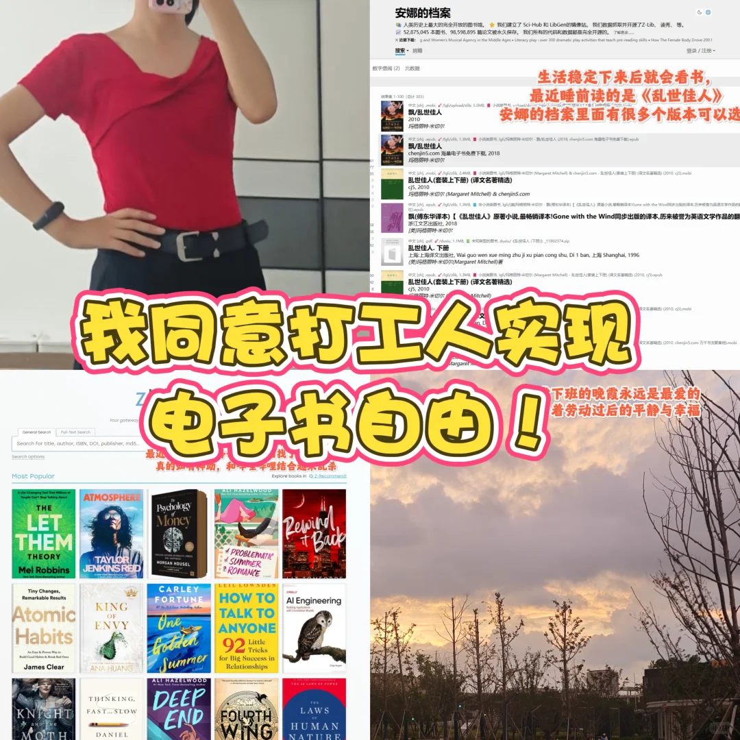 打工人电子书自由：Zlibrary+安娜的档案
