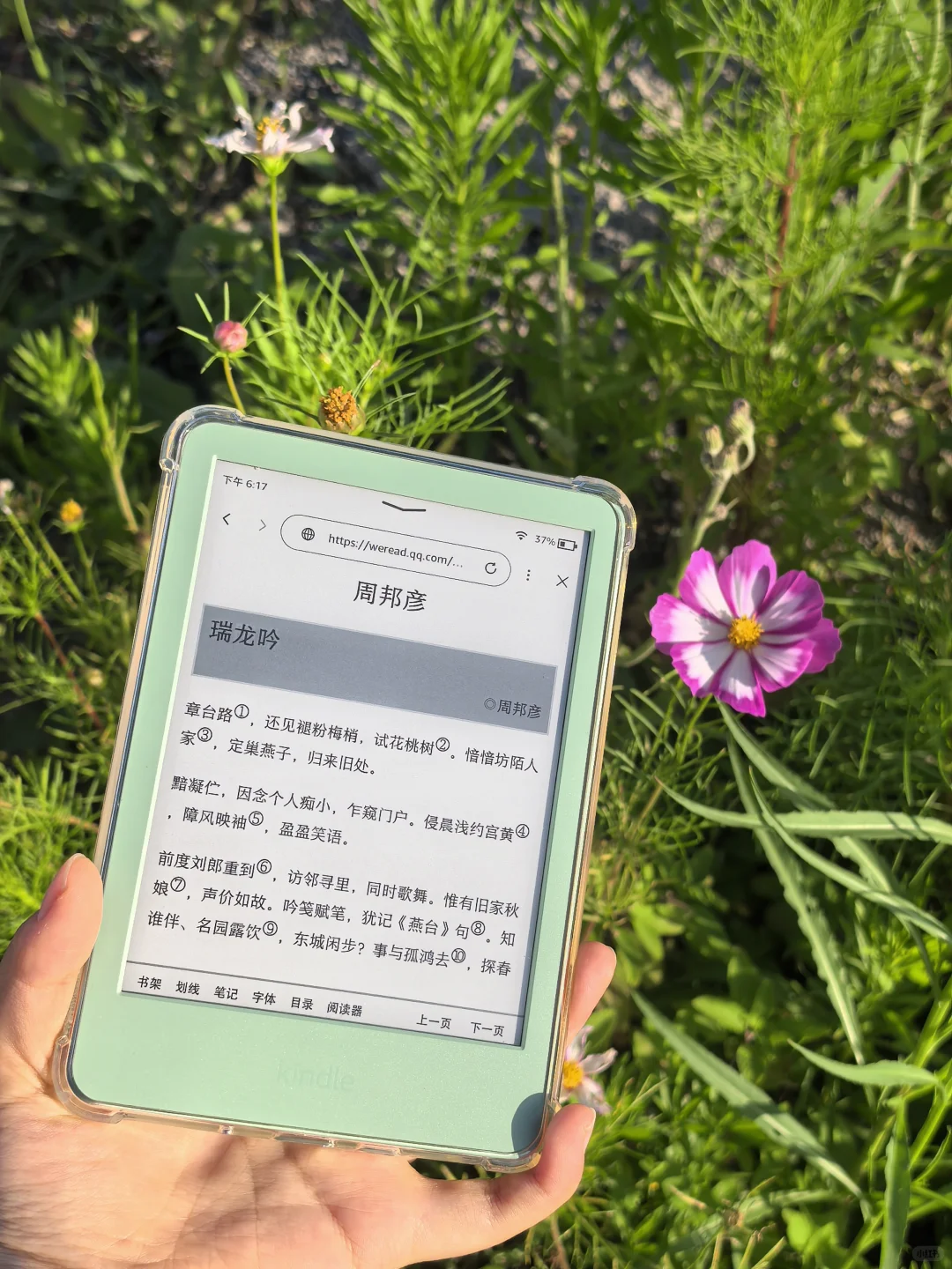 随时随地大小拍