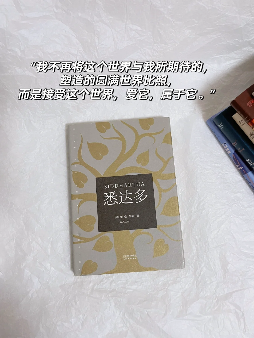 我的通勤口袋书｜拯救灵魂的精神食粮‼️