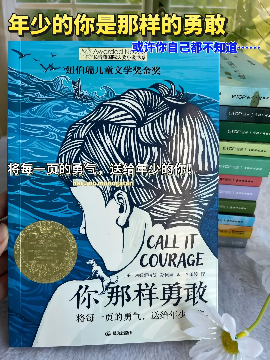 获奖国际大奖文学作品📚孩子必读的文学