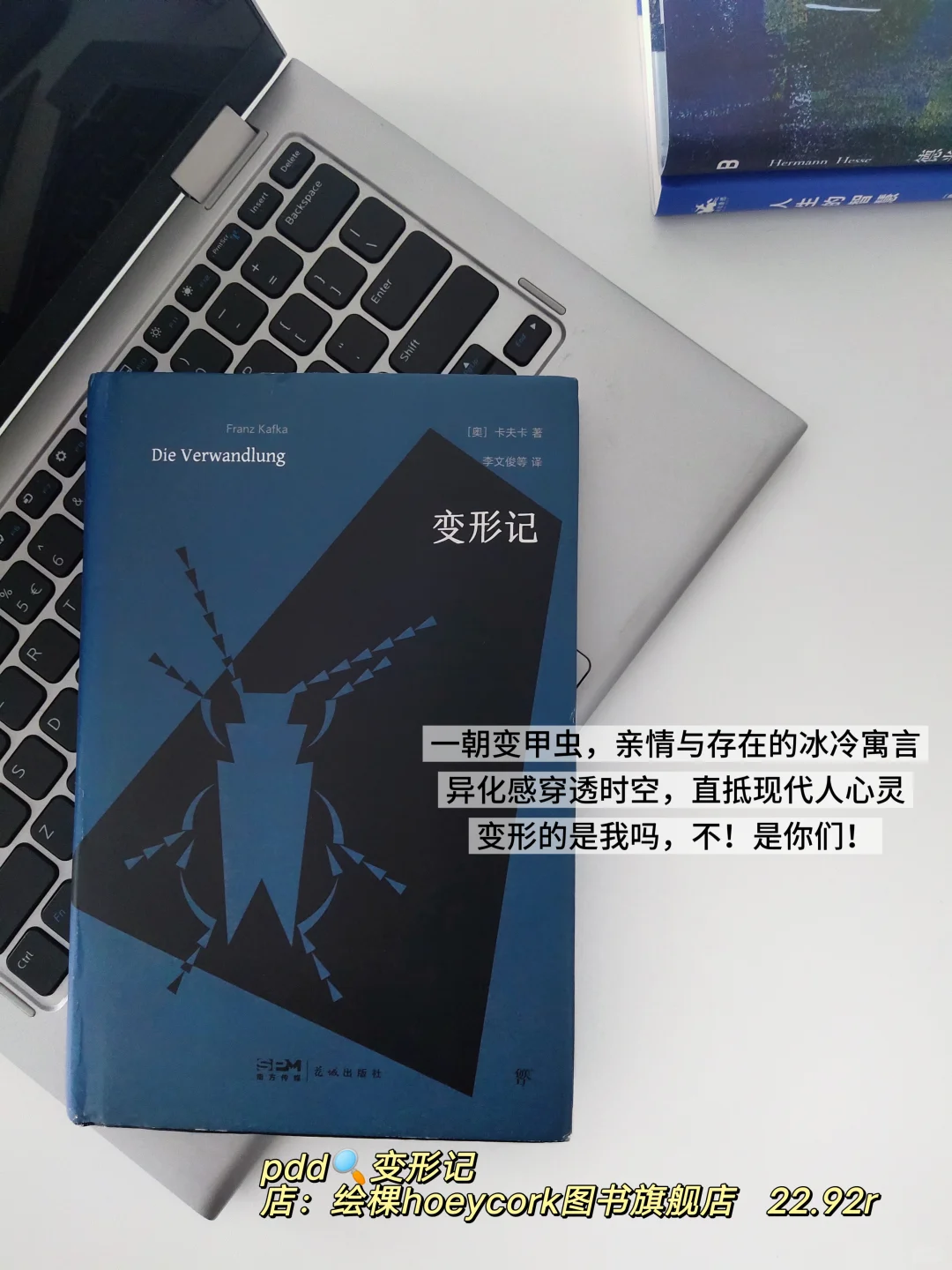 炎热的夏天需要读一点蓝.pdd