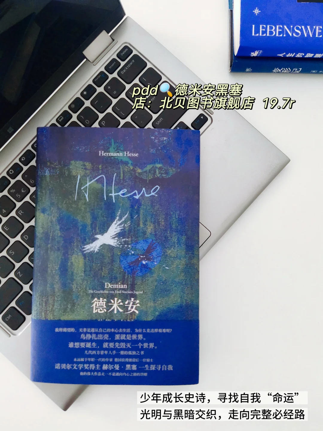 炎热的夏天需要读一点蓝.pdd