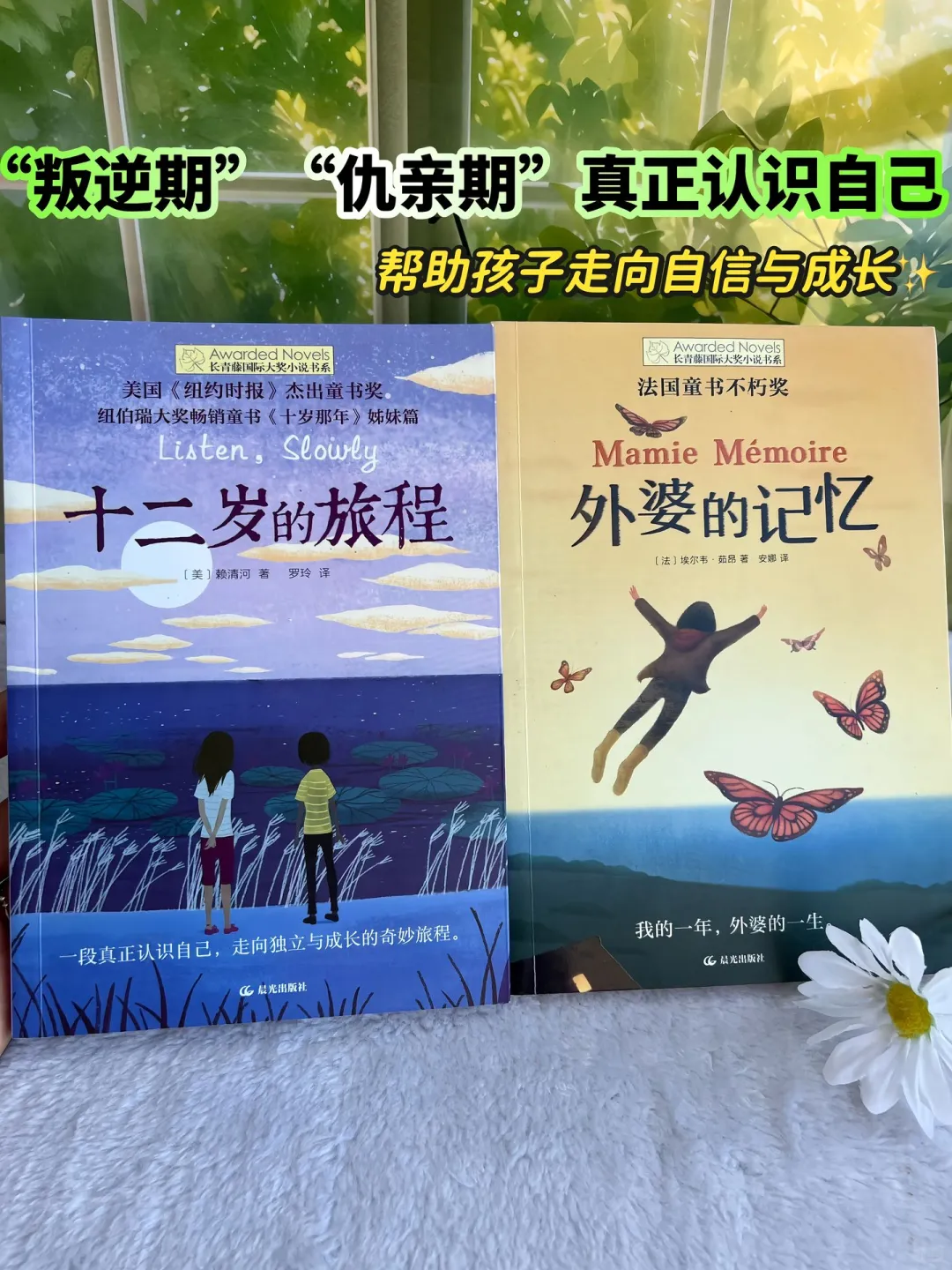 获奖国际大奖文学作品📚孩子必读的文学