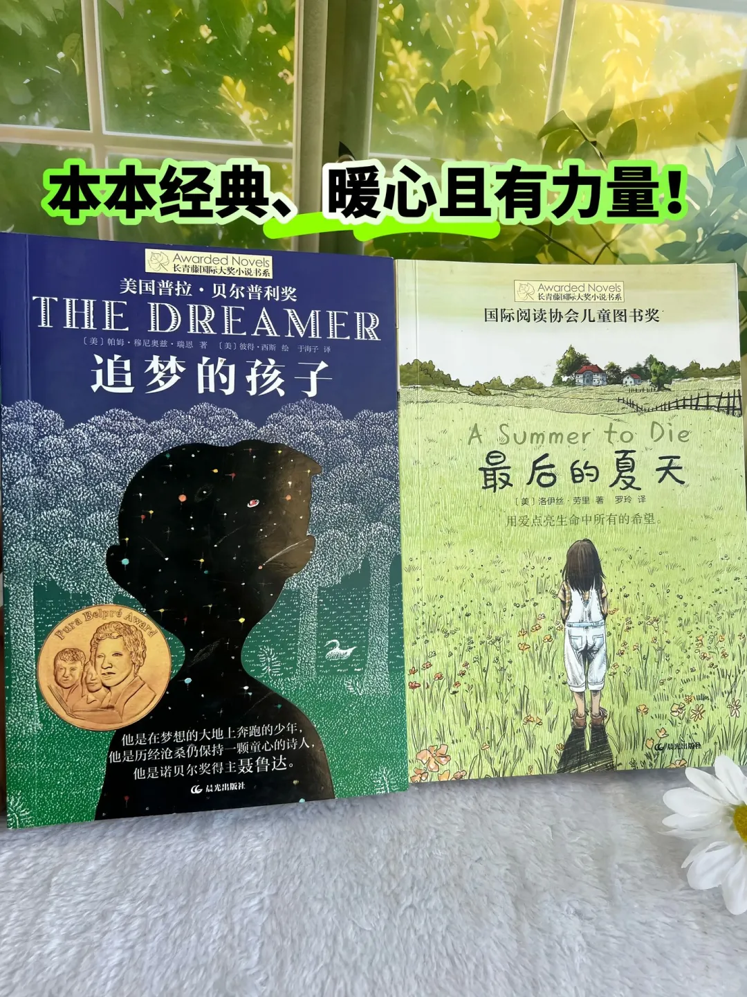 获奖国际大奖文学作品📚孩子必读的文学