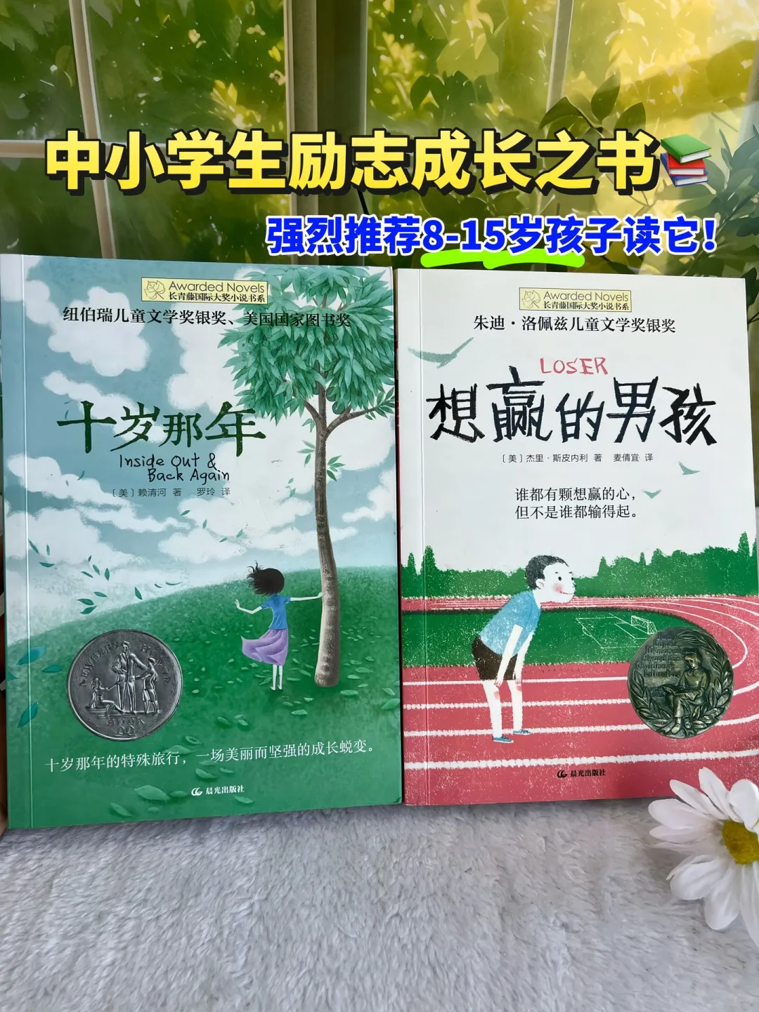 获奖国际大奖文学作品📚孩子必读的文学