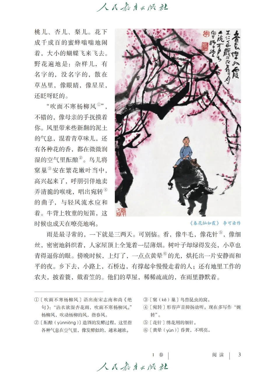 初中语文🔥七年级上册（1）