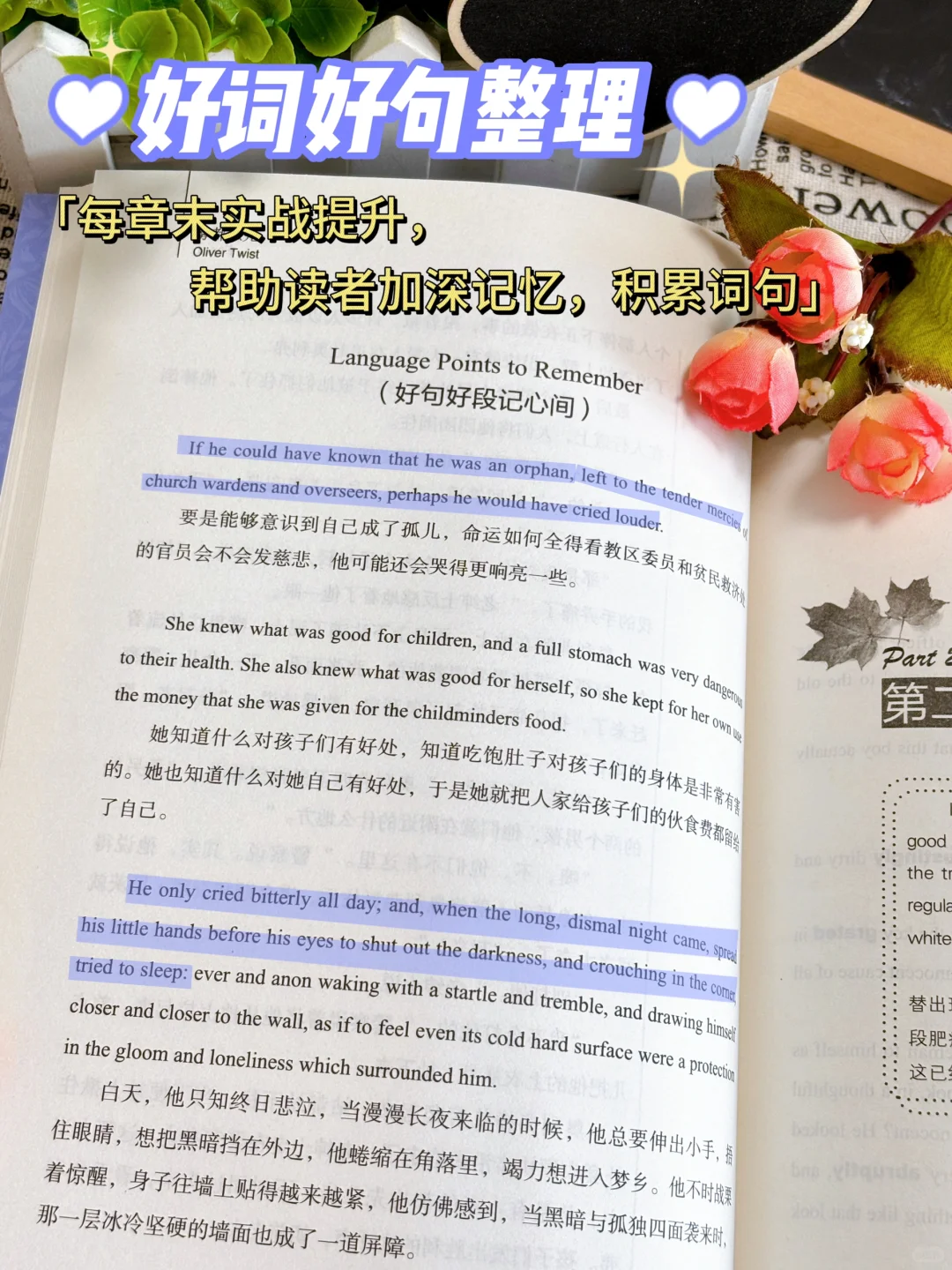 中英双语《雾都孤儿》🌎去到伦敦学英语