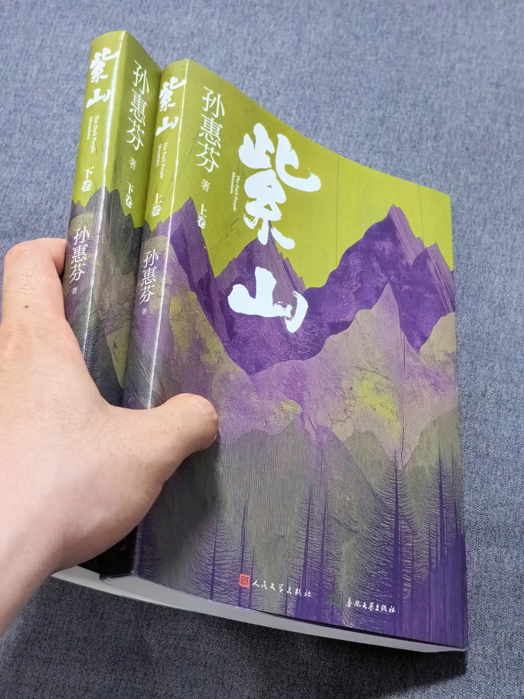 😭几乎是全程震撼着读完的一部小说！！