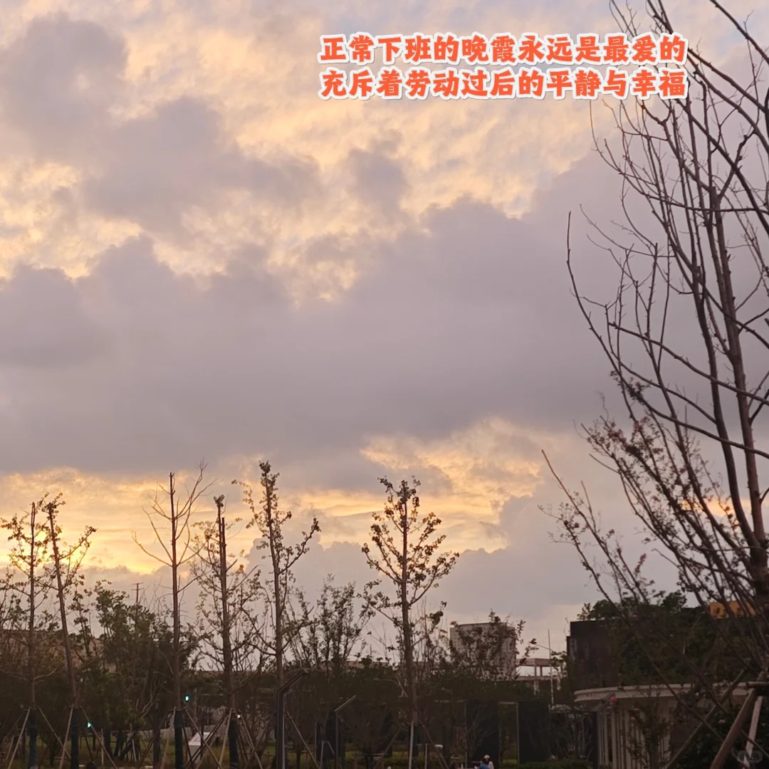 打工人电子书自由：Zlibrary+安娜的档案