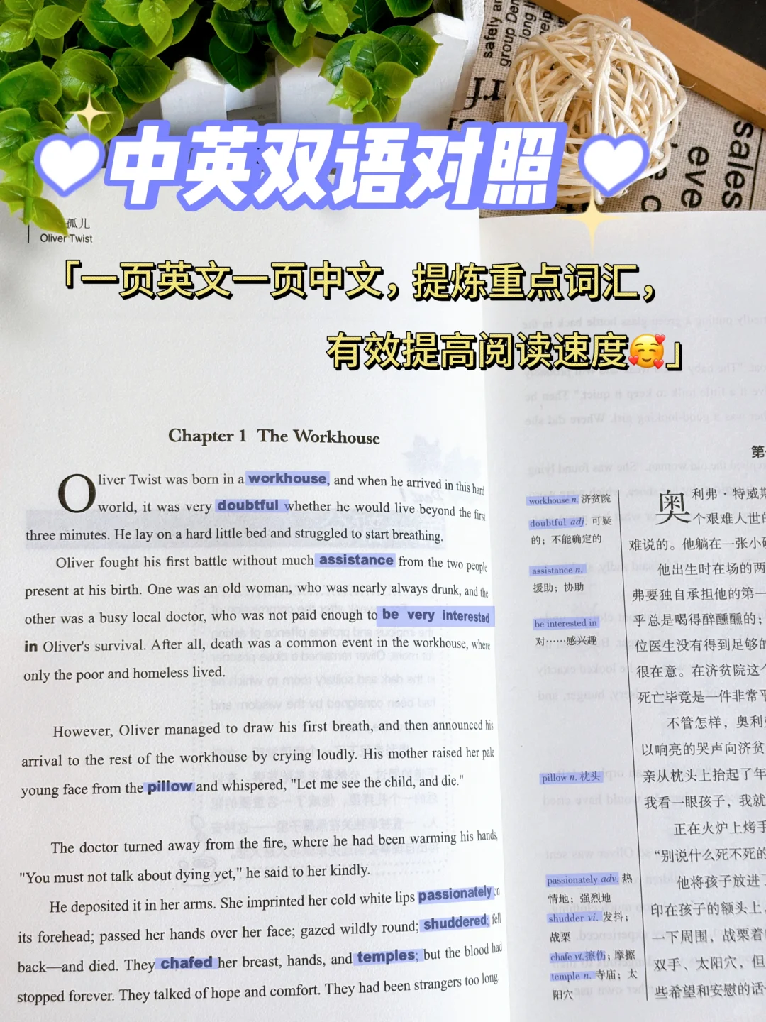 中英双语《雾都孤儿》🌎去到伦敦学英语
