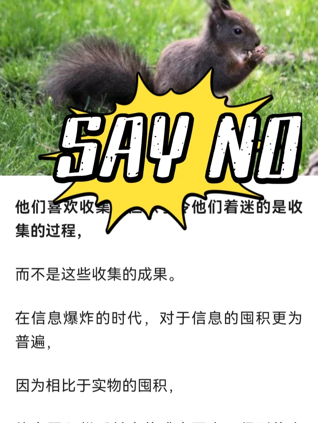 干货✨宝藏网站，解决你99%的找电子书需求