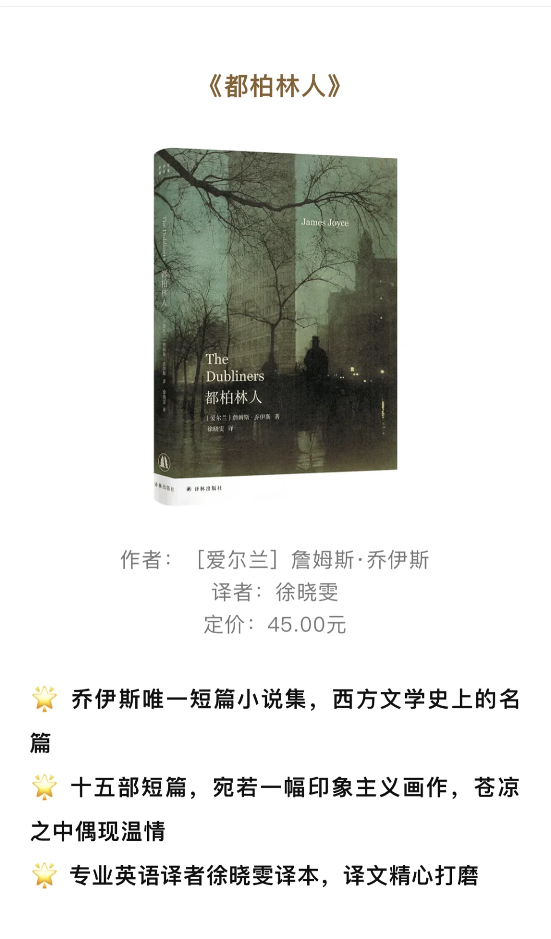 《芬尼根的守灵夜》终于被译林出版社搞出来了