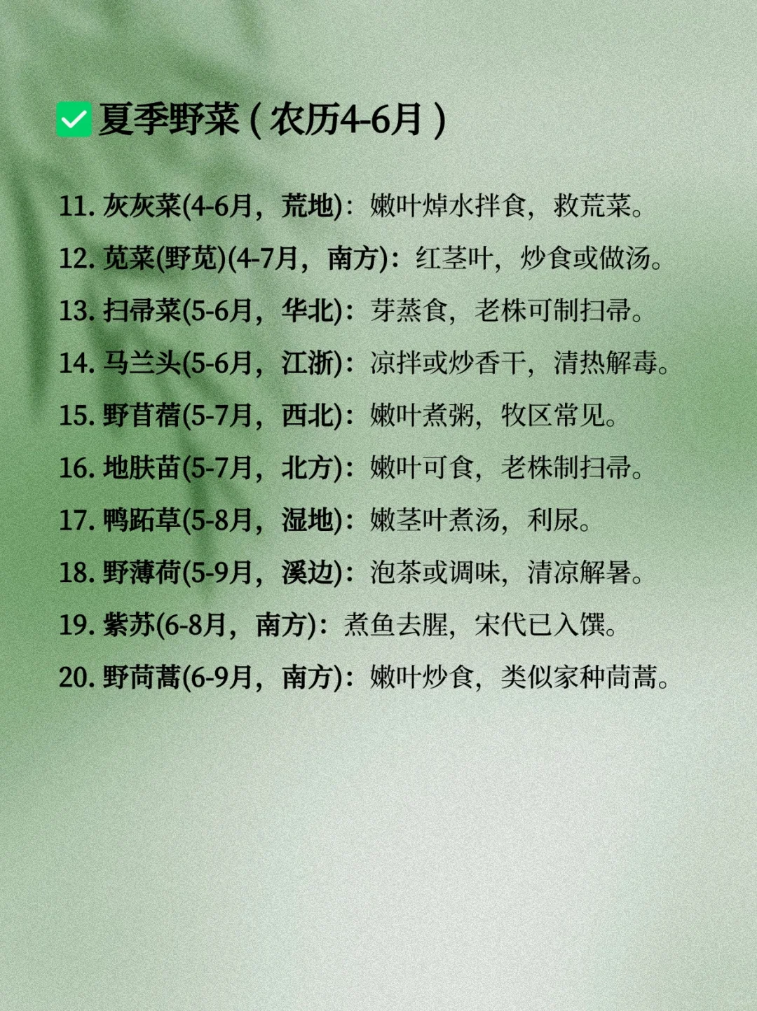 码住！这些野菜可写进古言种田文&年代文