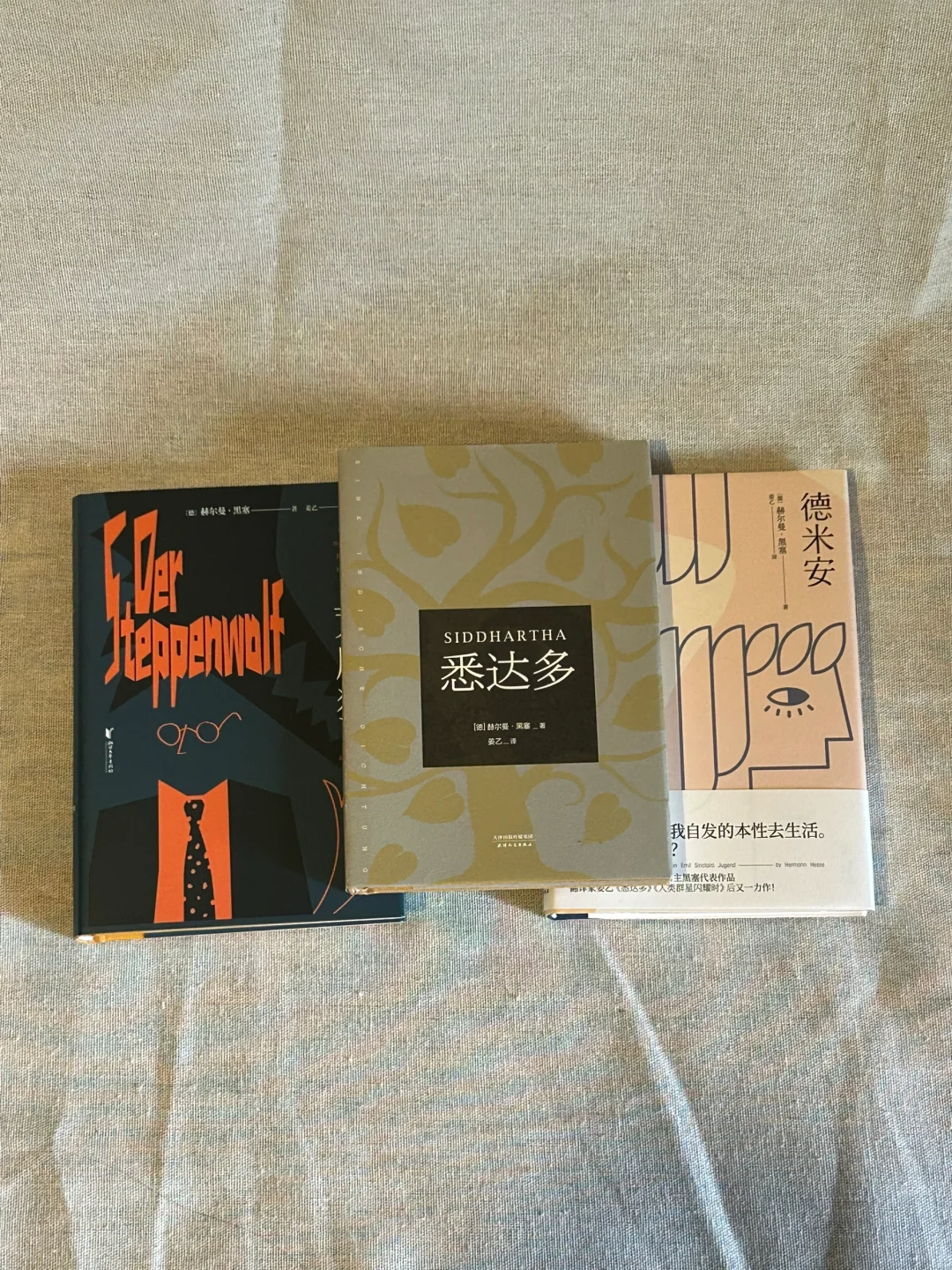 我的口袋书｜分享一波我的出行好搭档（书单）