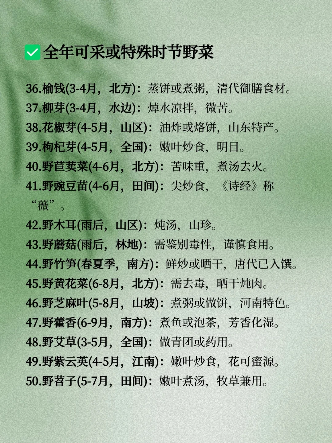 码住！这些野菜可写进古言种田文&年代文
