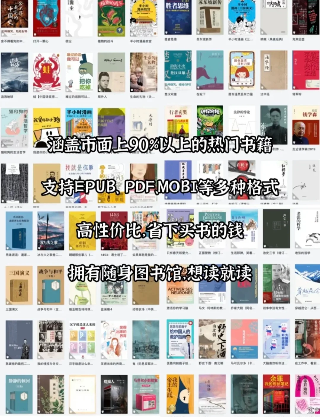 姐妹们！这才是电子书的正确打开方式啊！