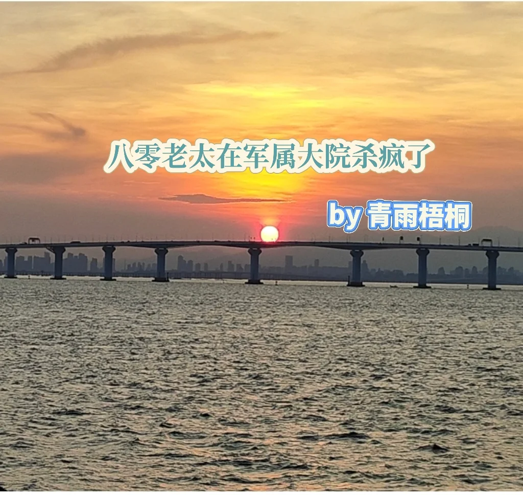 八零老太在军属大院杀疯了