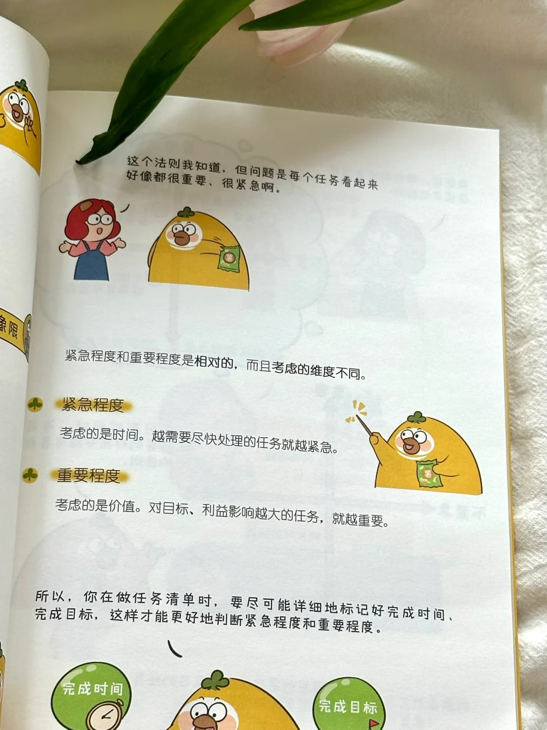 这本书真的太太太实用了！！打工人必备💛