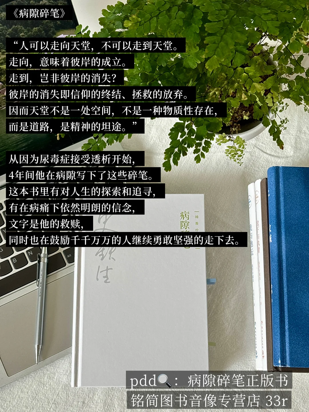 INFJ的灵魂书单，每本都是我的“精神灯塔”