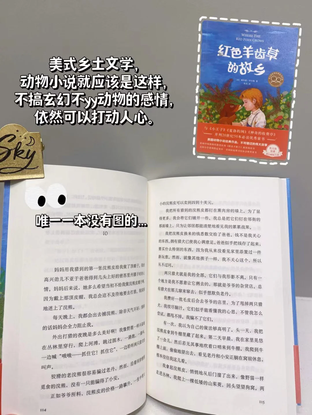 适合三年级小学生的经典文学📚高分不踩雷❗️