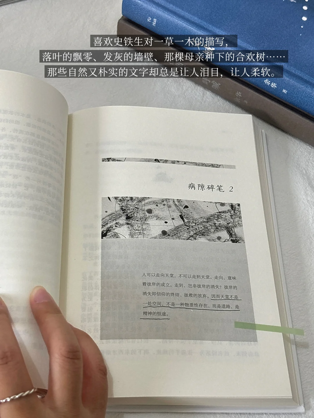 INFJ的灵魂书单，每本都是我的“精神灯塔”