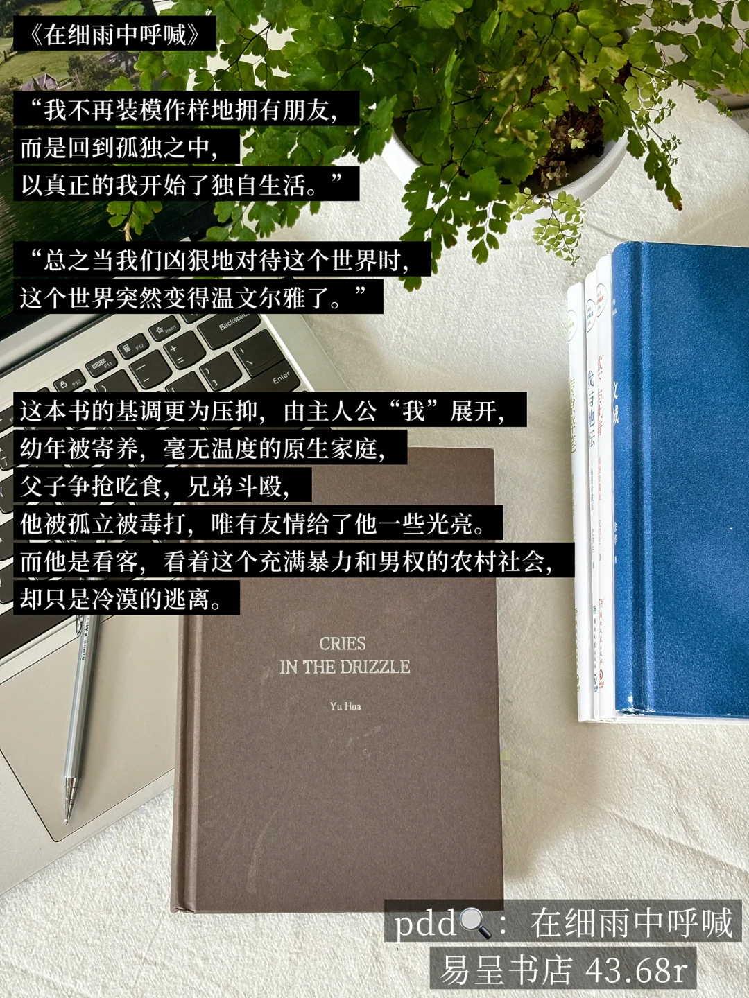 INFJ的灵魂书单，每本都是我的“精神灯塔”