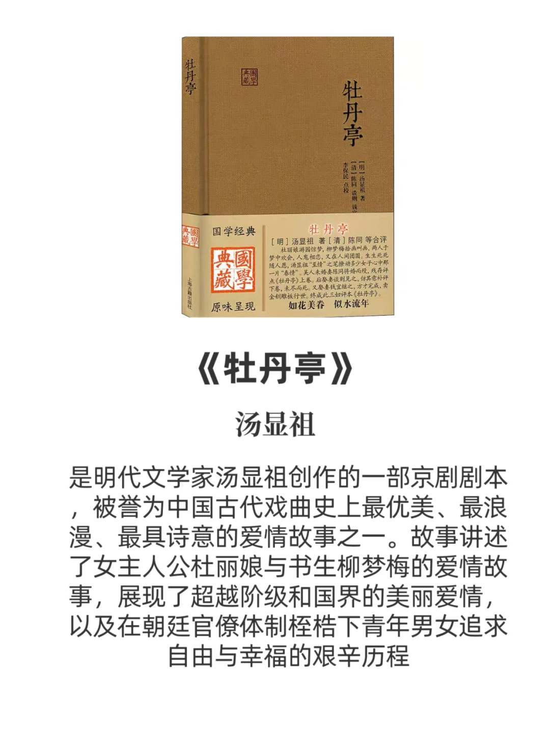 中国十大名著🔥此生必读❗❗❗