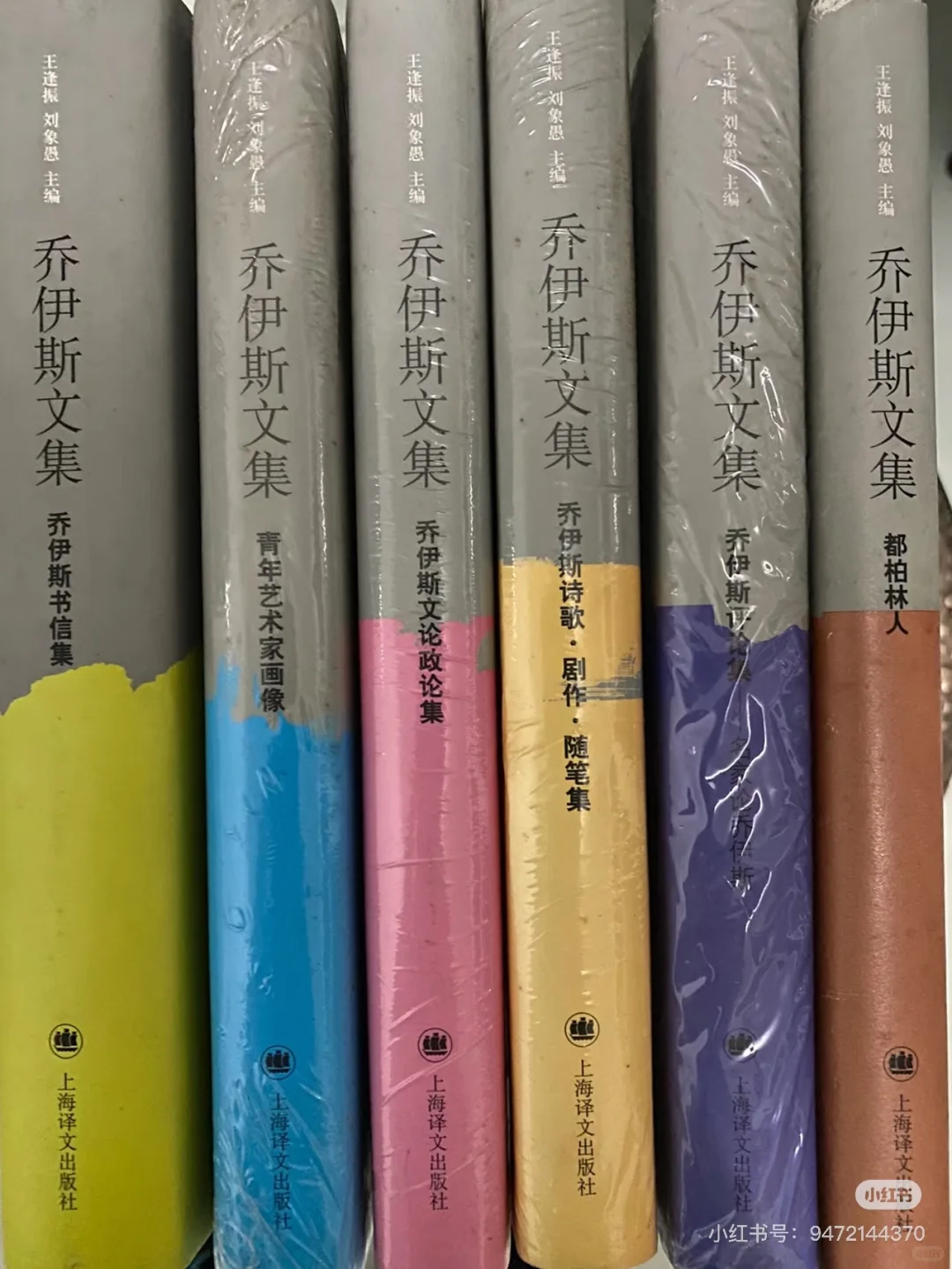 《芬尼根的守灵夜》终于被译林出版社搞出来了