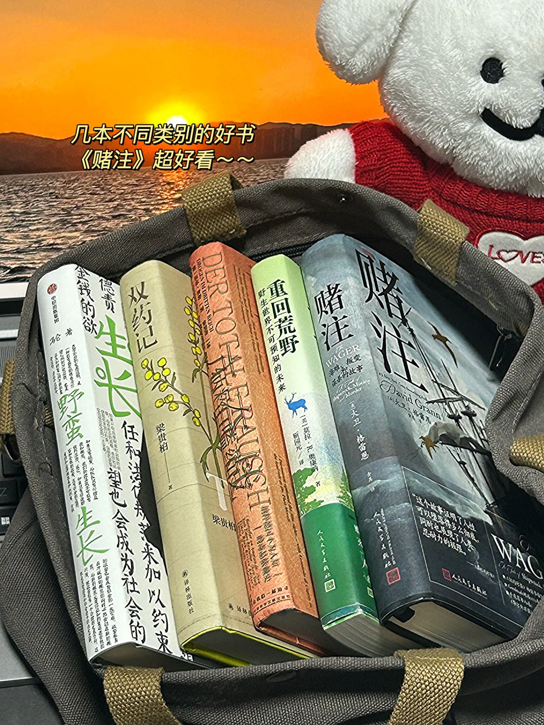 七月赠书📚想把这些好书送给有缘人