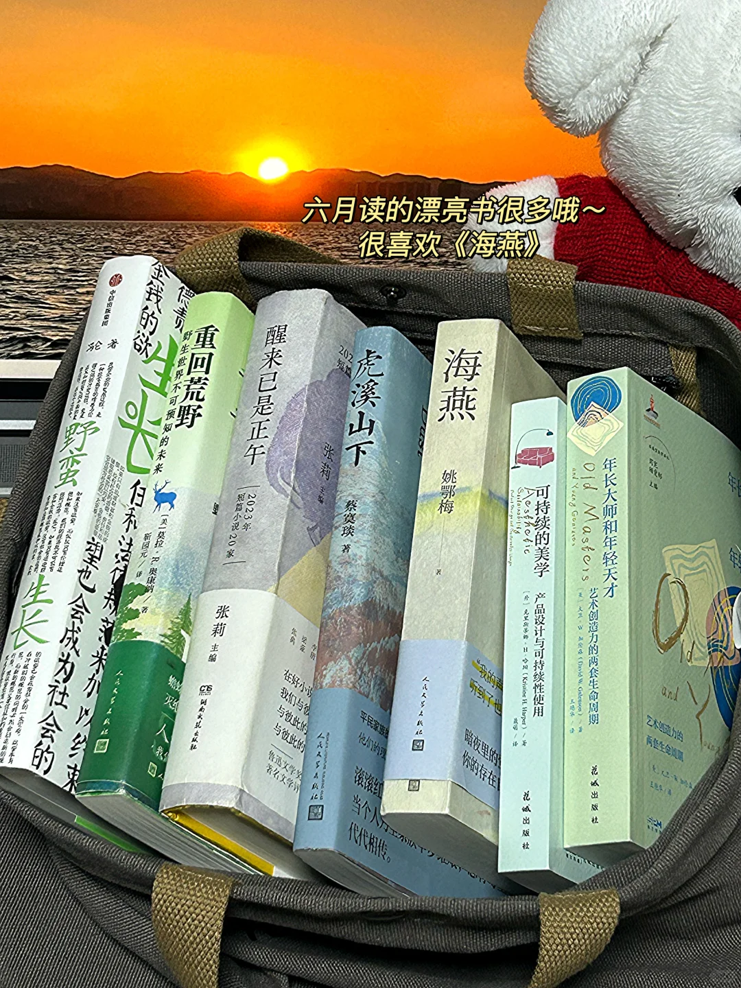 七月赠书📚想把这些好书送给有缘人