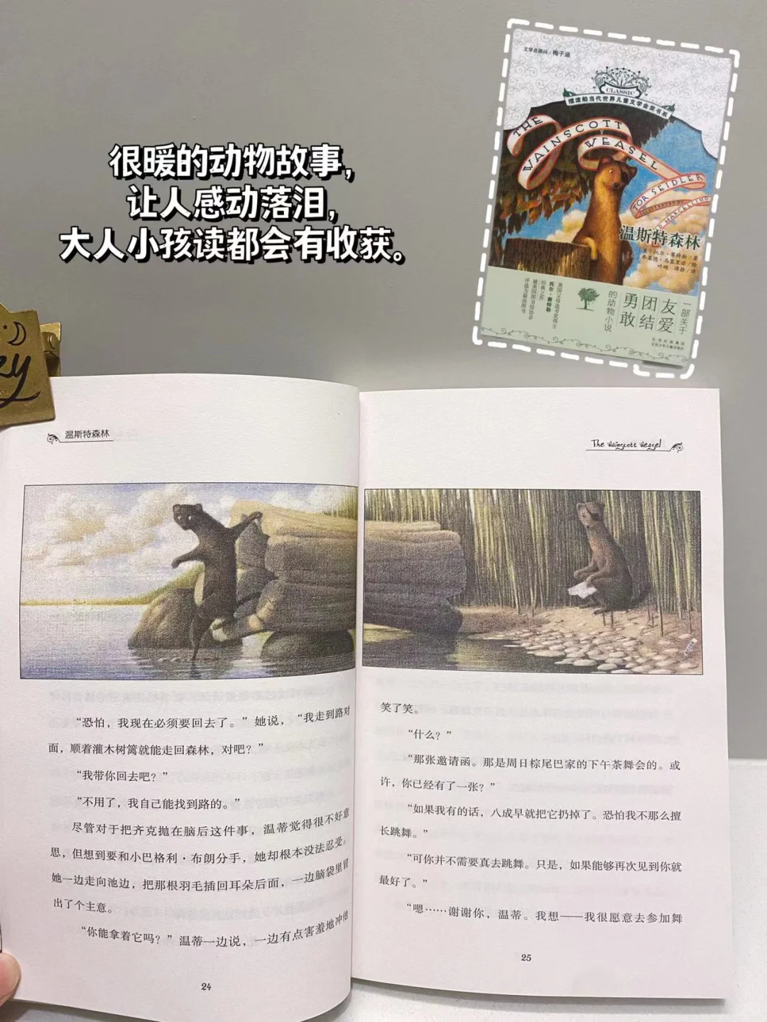适合三年级小学生的经典文学📚高分不踩雷❗️