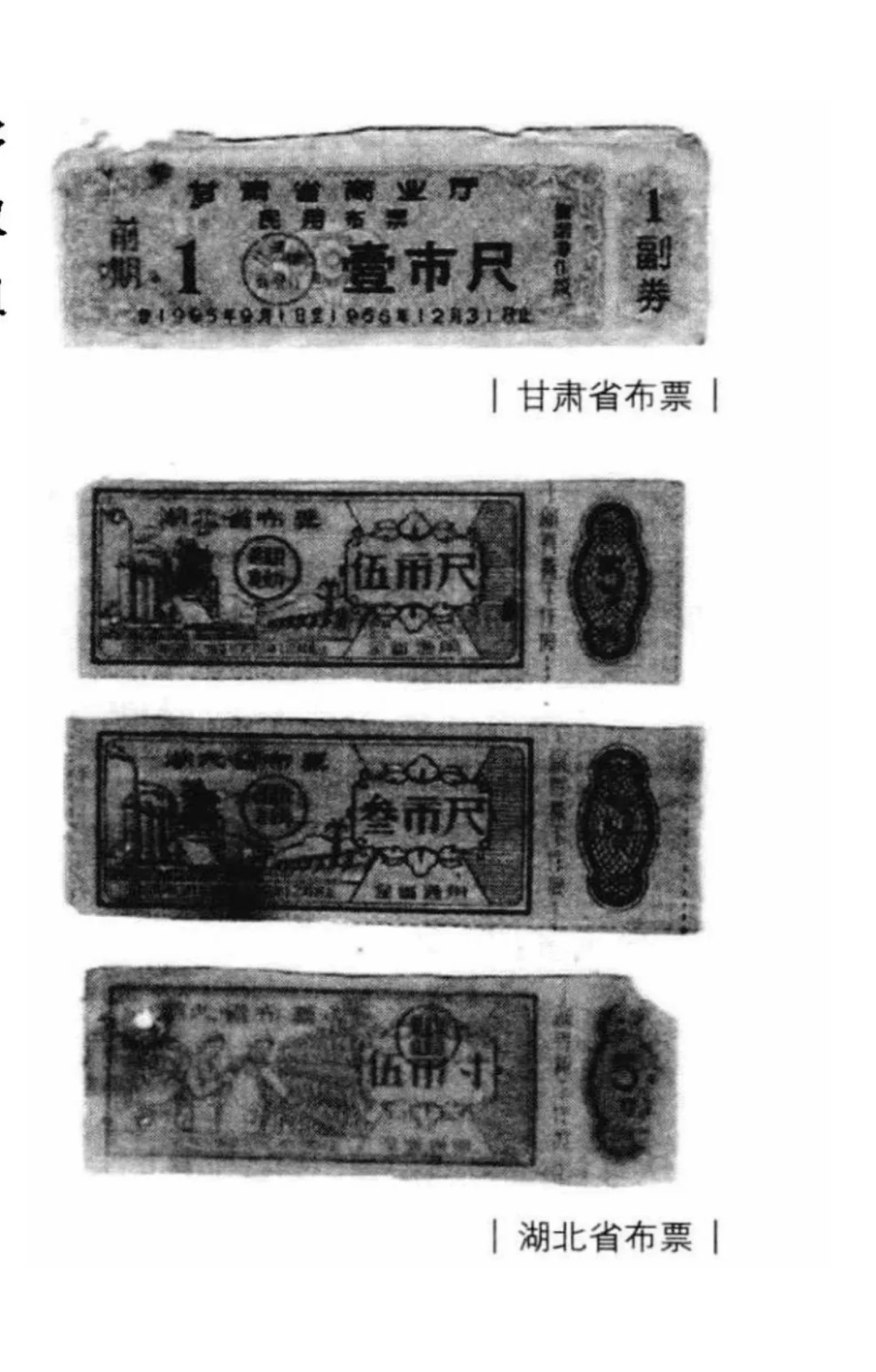 年代文素材：布票的种类