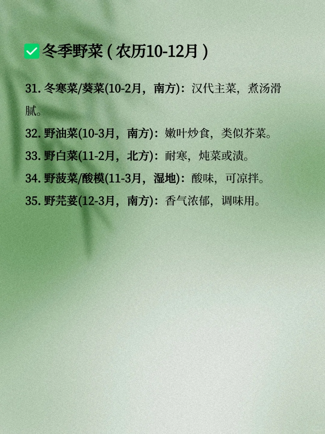 码住！这些野菜可写进古言种田文&年代文