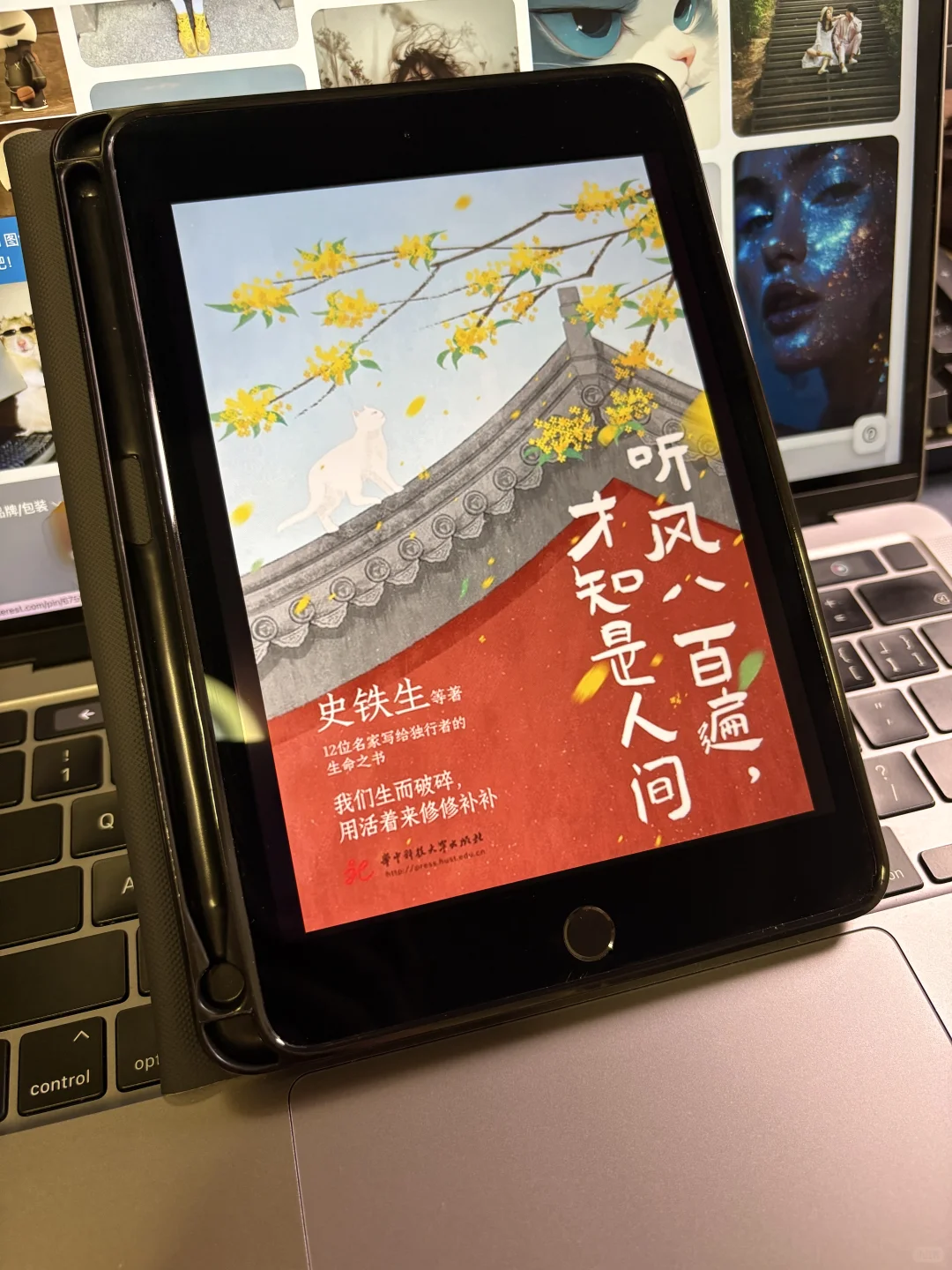 感觉这辈子都读不完这么多书😭