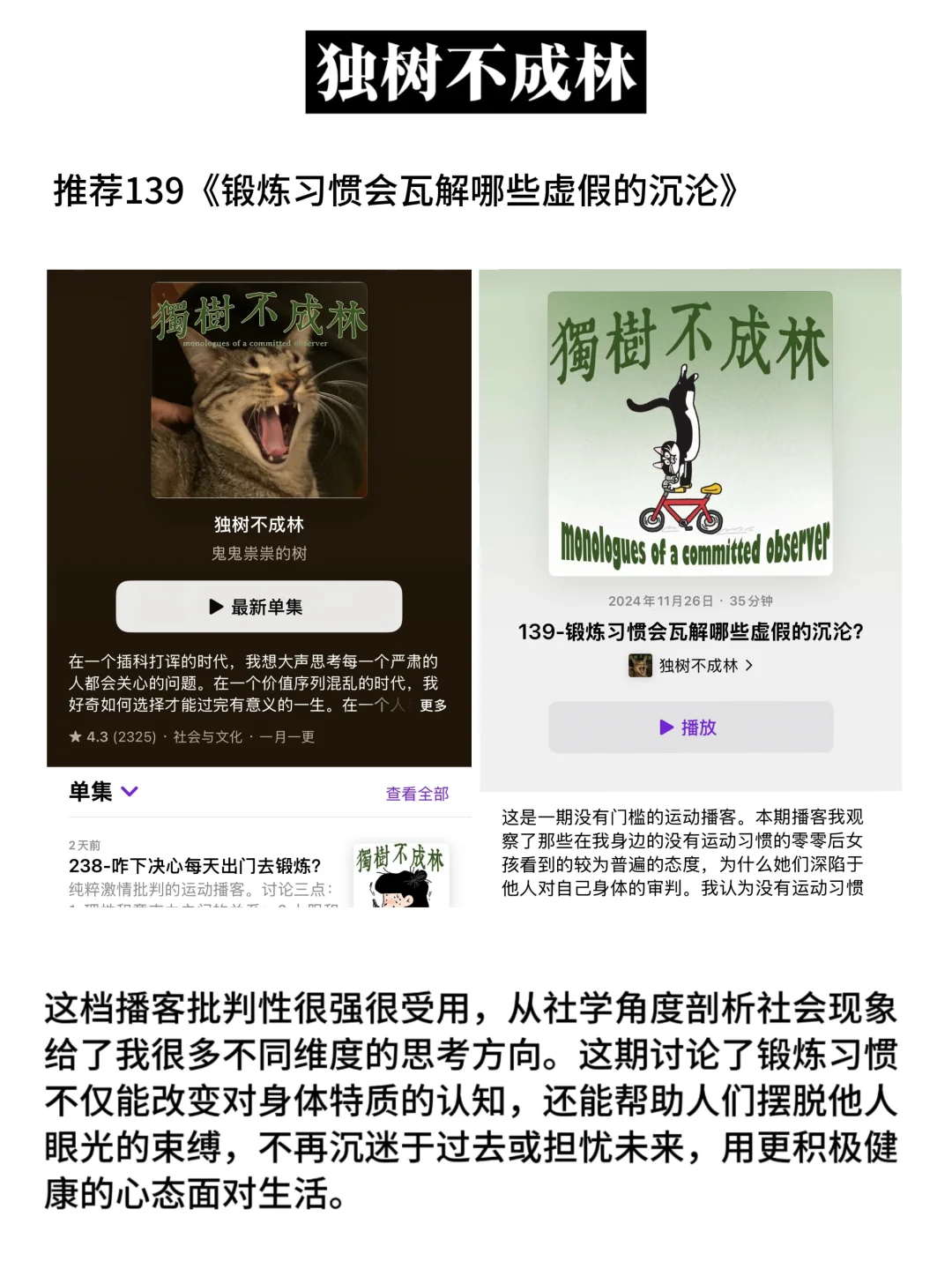 听播客2年，我感受到了信息茧房的恐怖