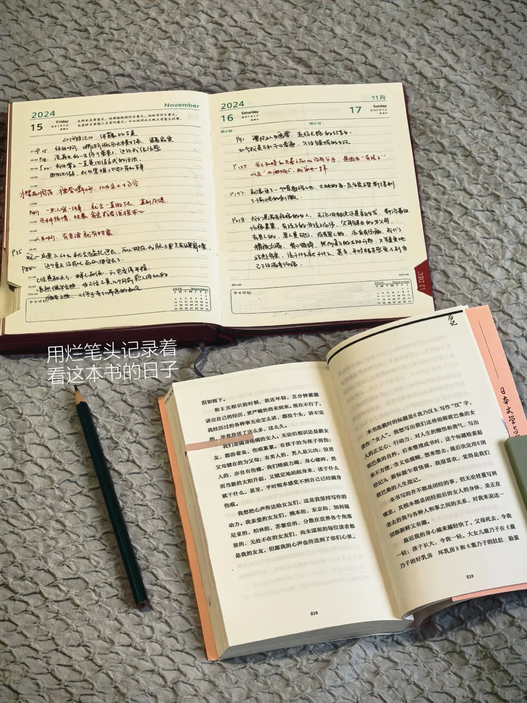 11月书单｜读书是见世界最低的成本。