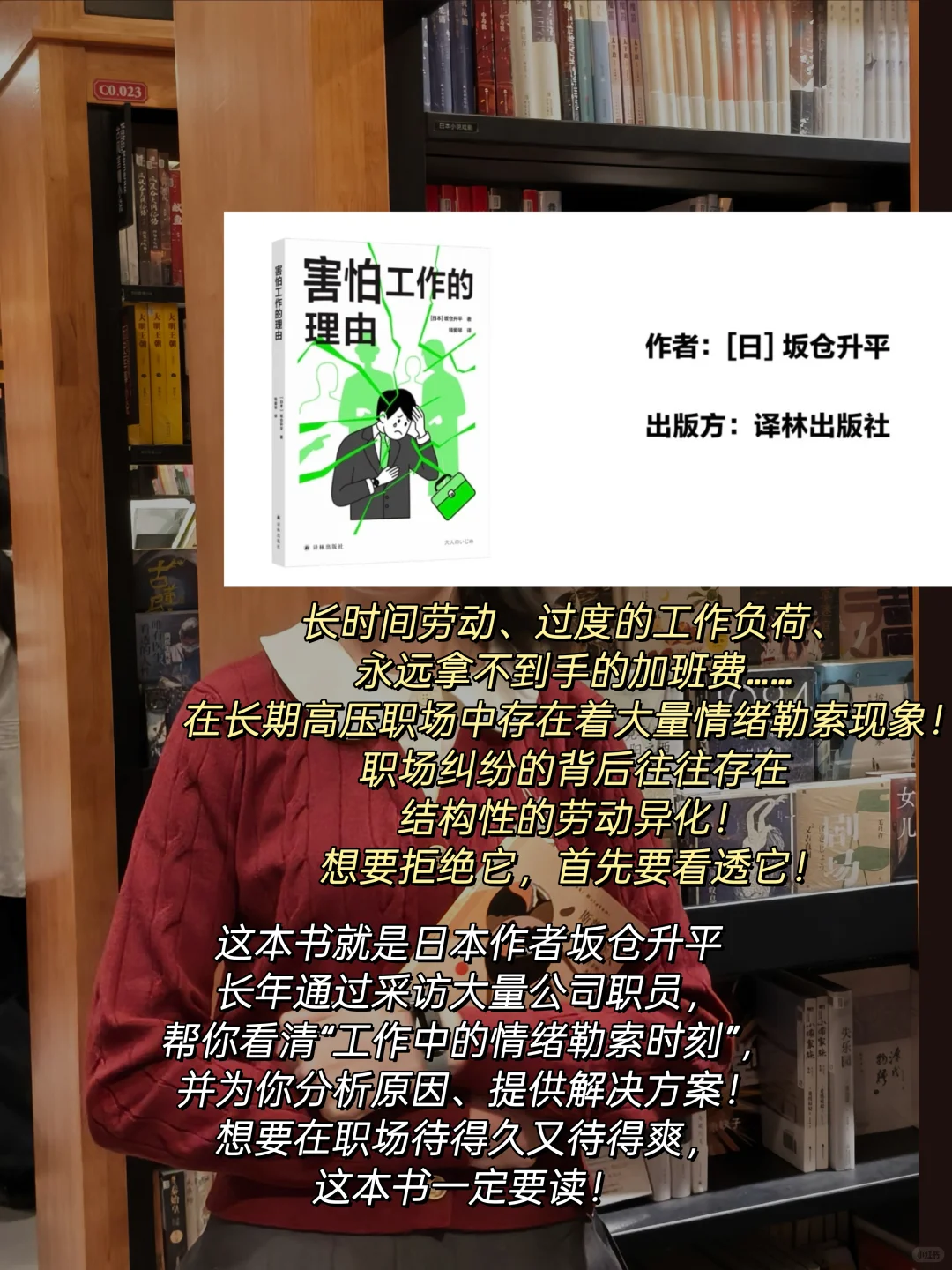 奎因新书驾到🔥，7月宝藏书单别错过❗