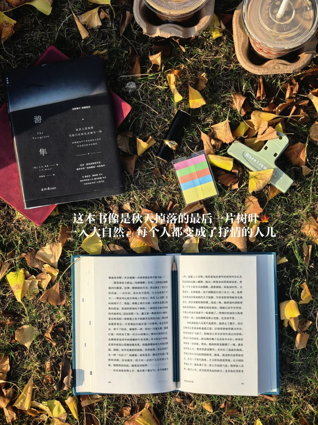 11月书单｜读书是见世界最低的成本。