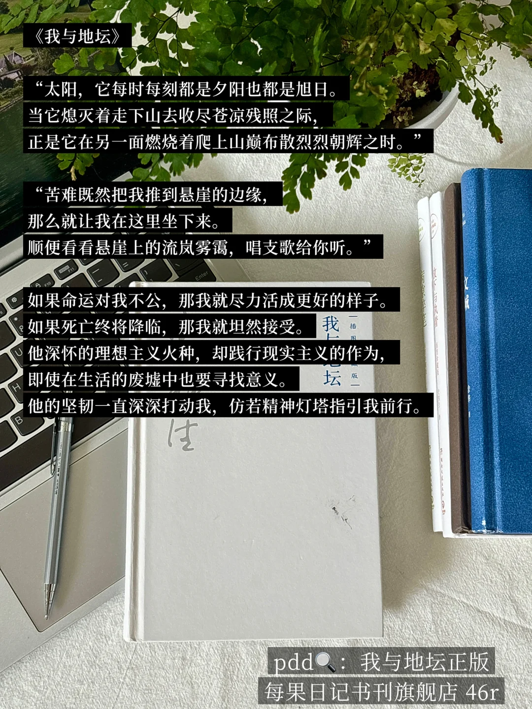 INFJ的灵魂书单，每本都是我的“精神灯塔”