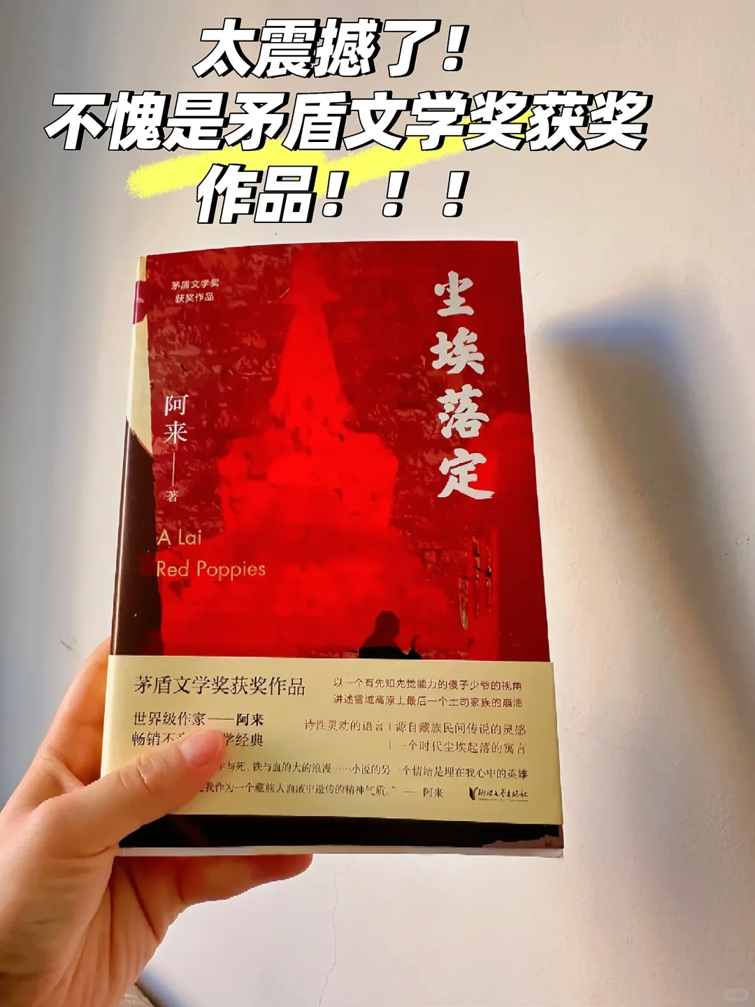 📚太震撼了，不愧是矛盾文学奖获奖作品！