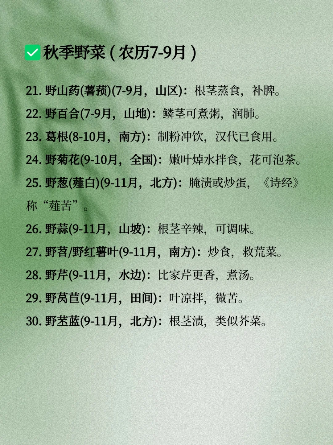 码住！这些野菜可写进古言种田文&年代文