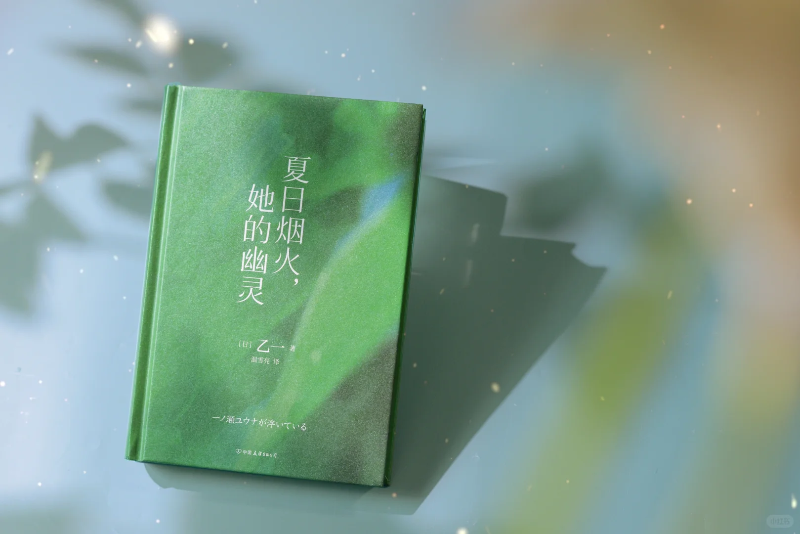 图书实拍的美貌