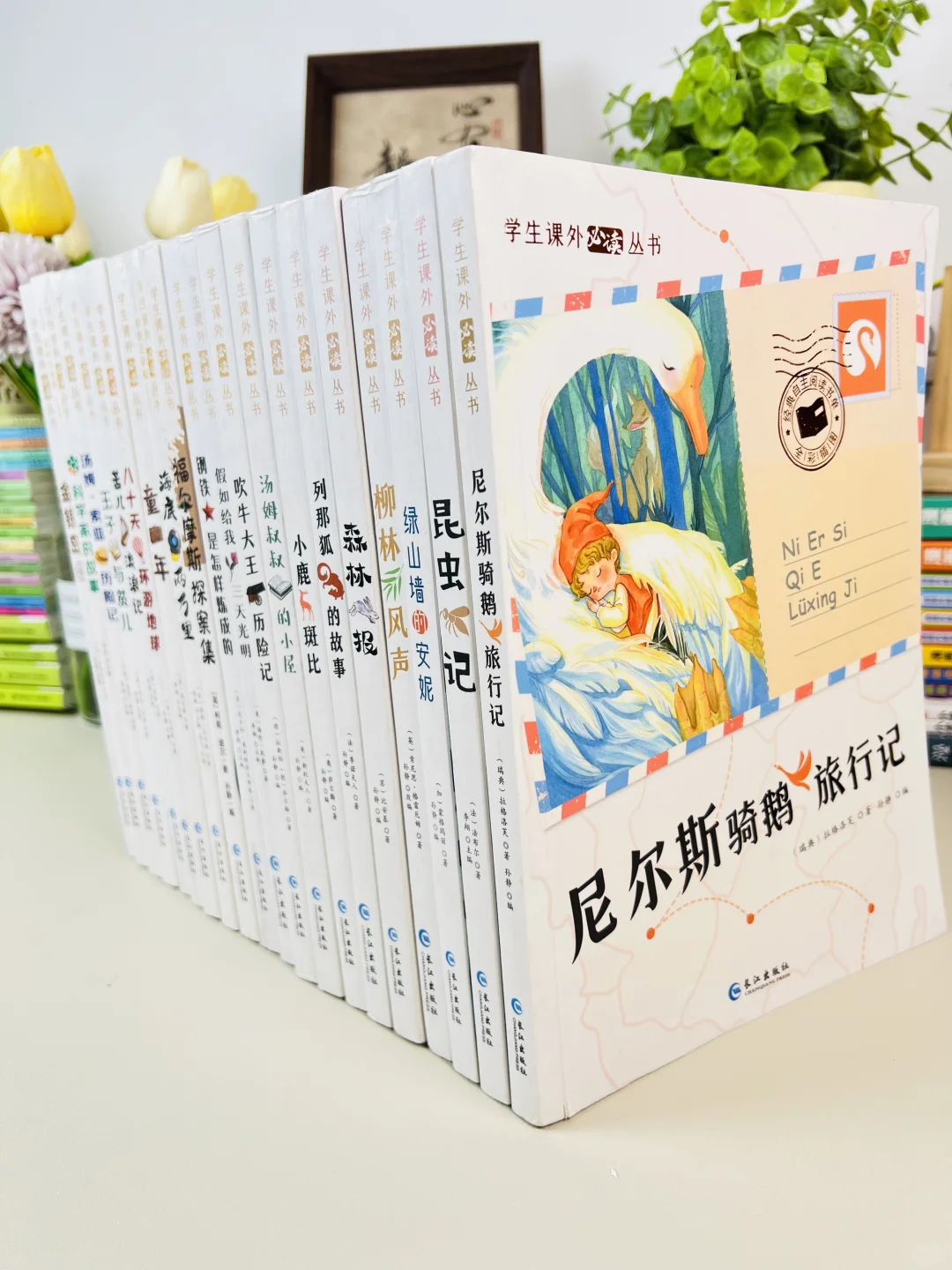 语文老师推荐🔥30本小学生必读课外阅读书💯