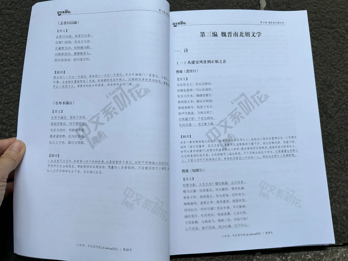 诗词本！你的古代文学背书搭子来啦！