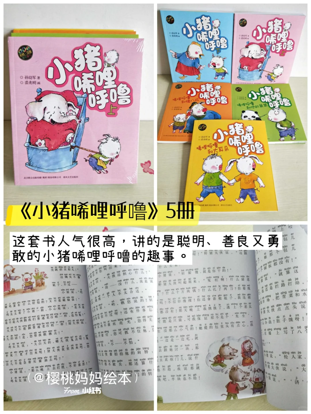 📚一口气看完❗一二年级桥梁书拼音读物