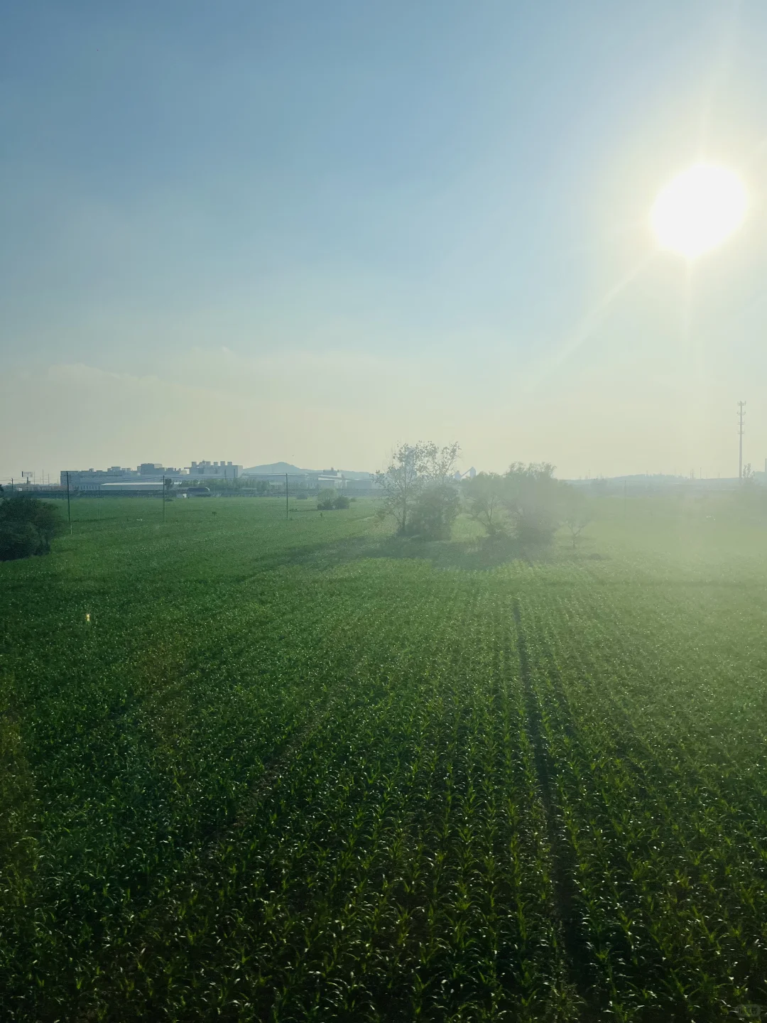 旅行结束，回家踏实搞新书！