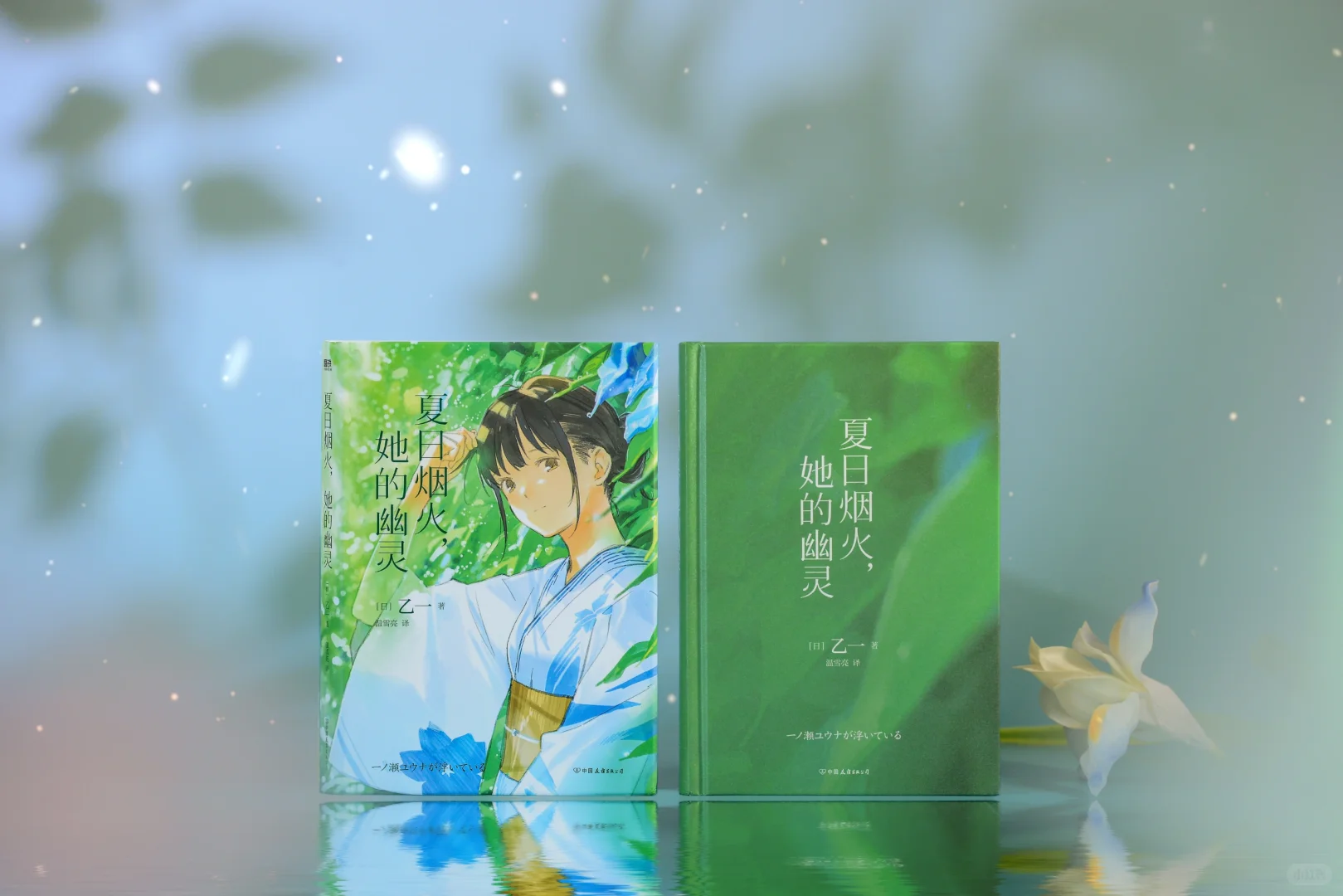 图书实拍的美貌
