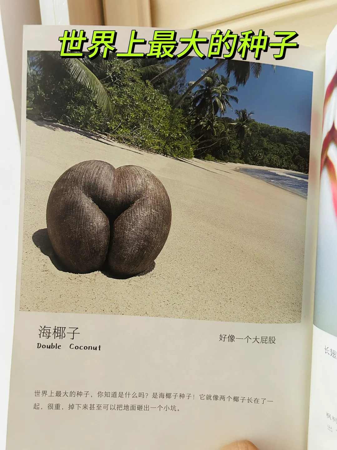 谢谢你‼️让两岁儿子认识了近200动植物！